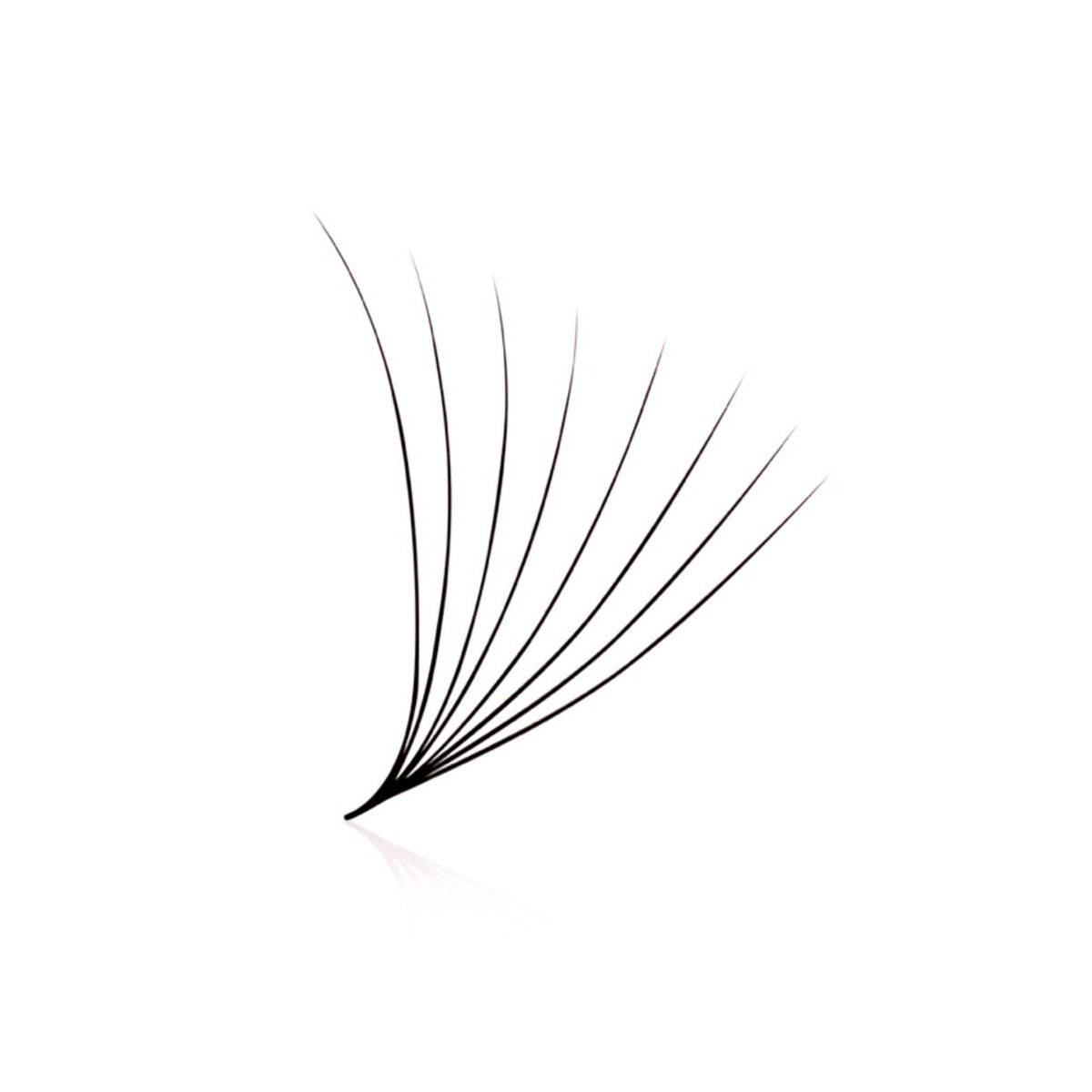 0.05 8D Pro Made Loose Lash Fans