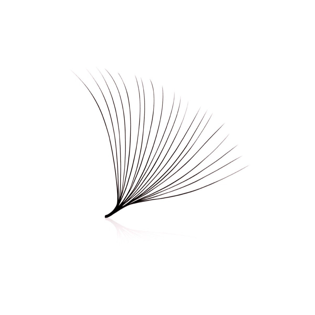 20D 0.03 Loose Promade Volume Lash Fans