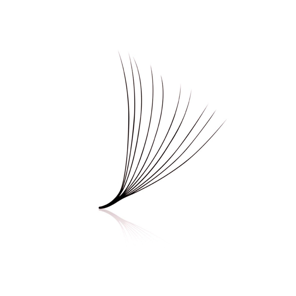 0.05 10D Pro Made Loose Lash Fans