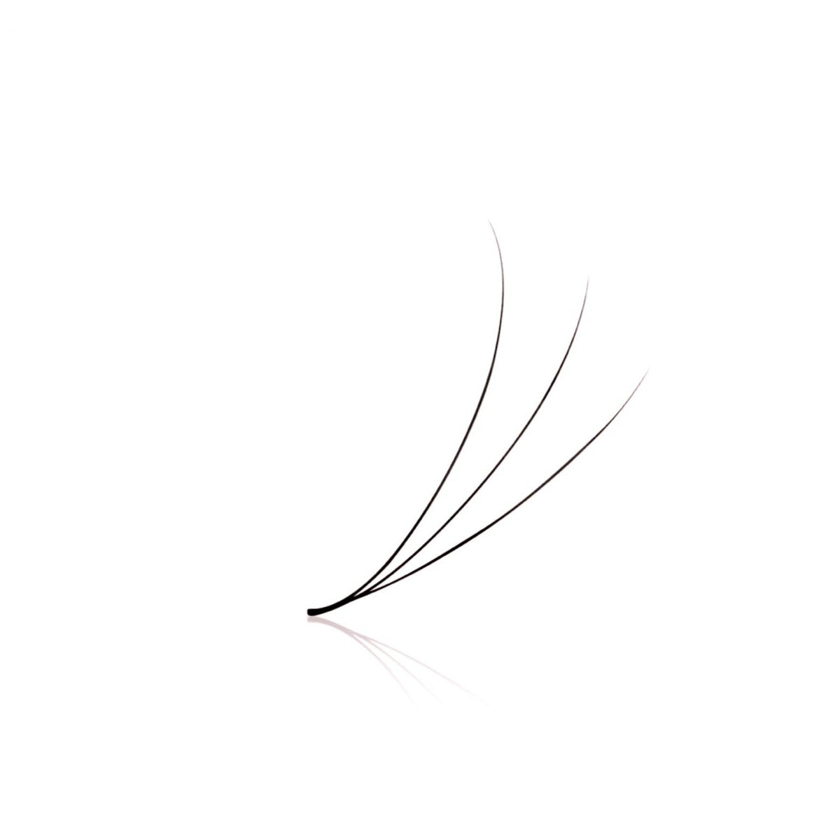 3D Pro Made Loose Lash Fans
