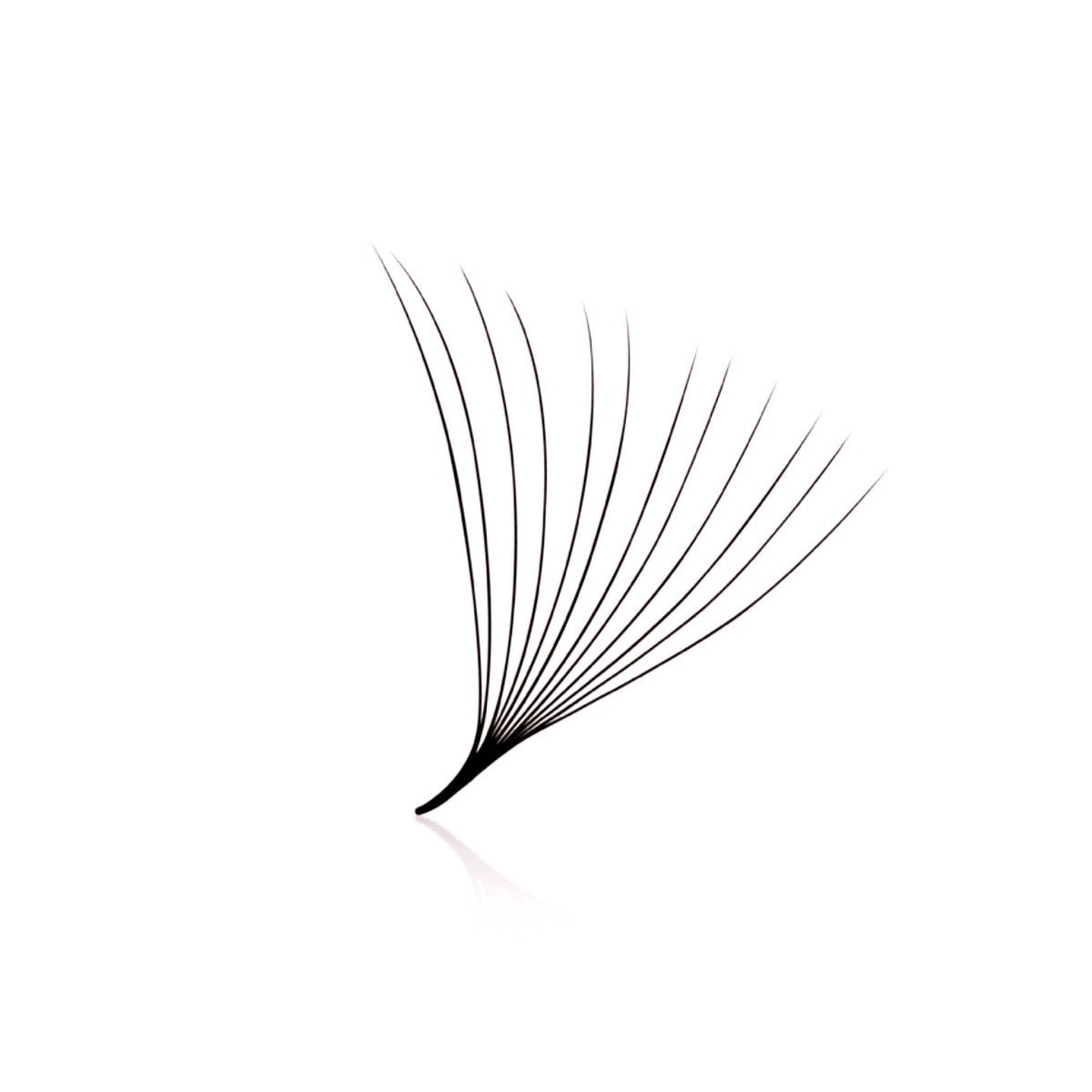 12D Loose Promade Volume Lash Fans