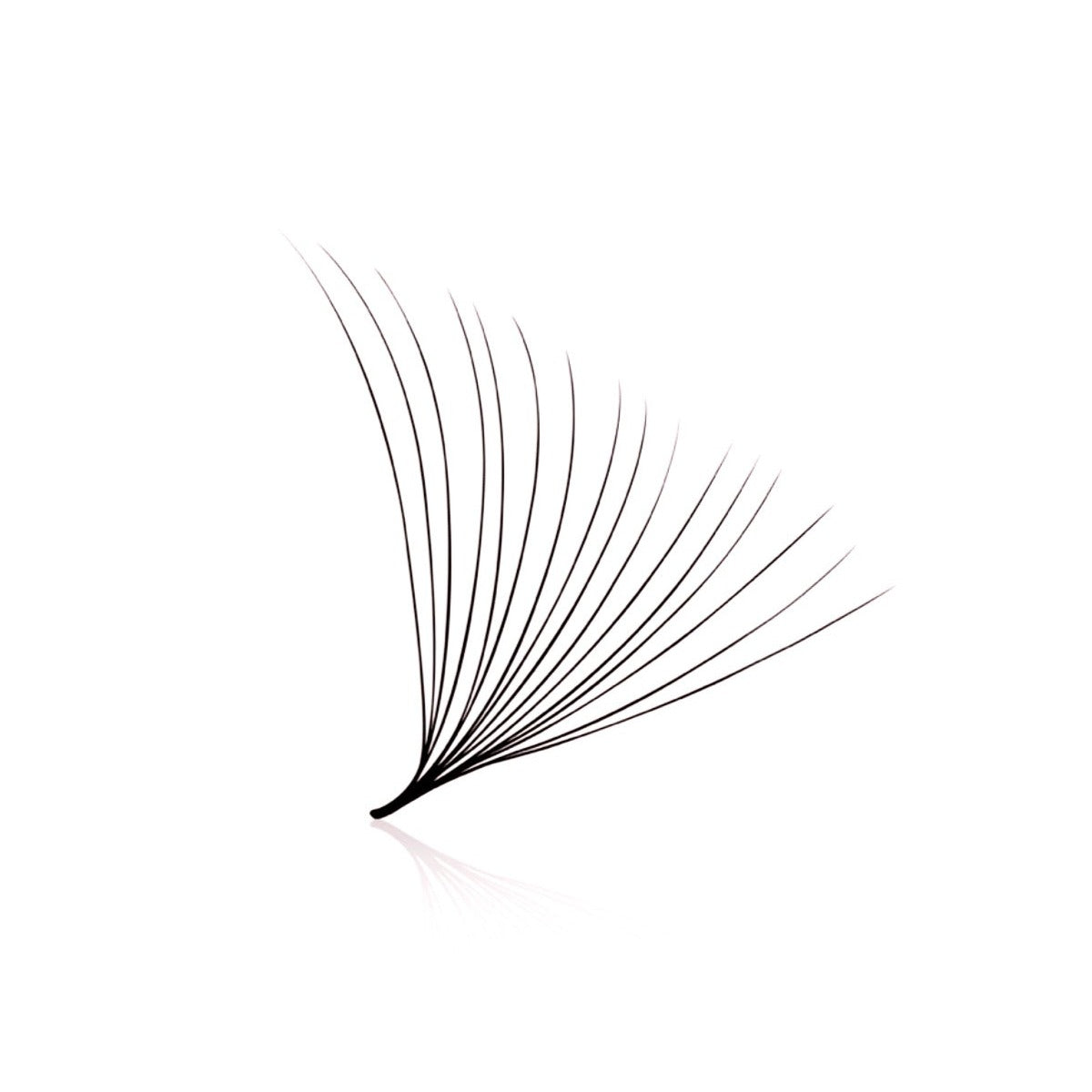 16D Loose Promade Volume Lash Fans