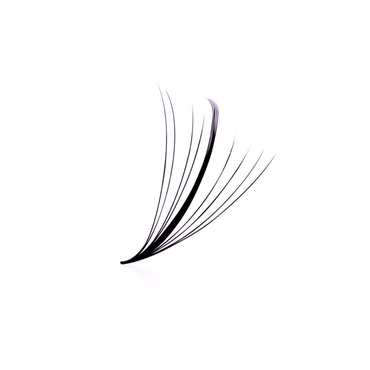 Wispy 7D Pro Made Loose Lash Fans