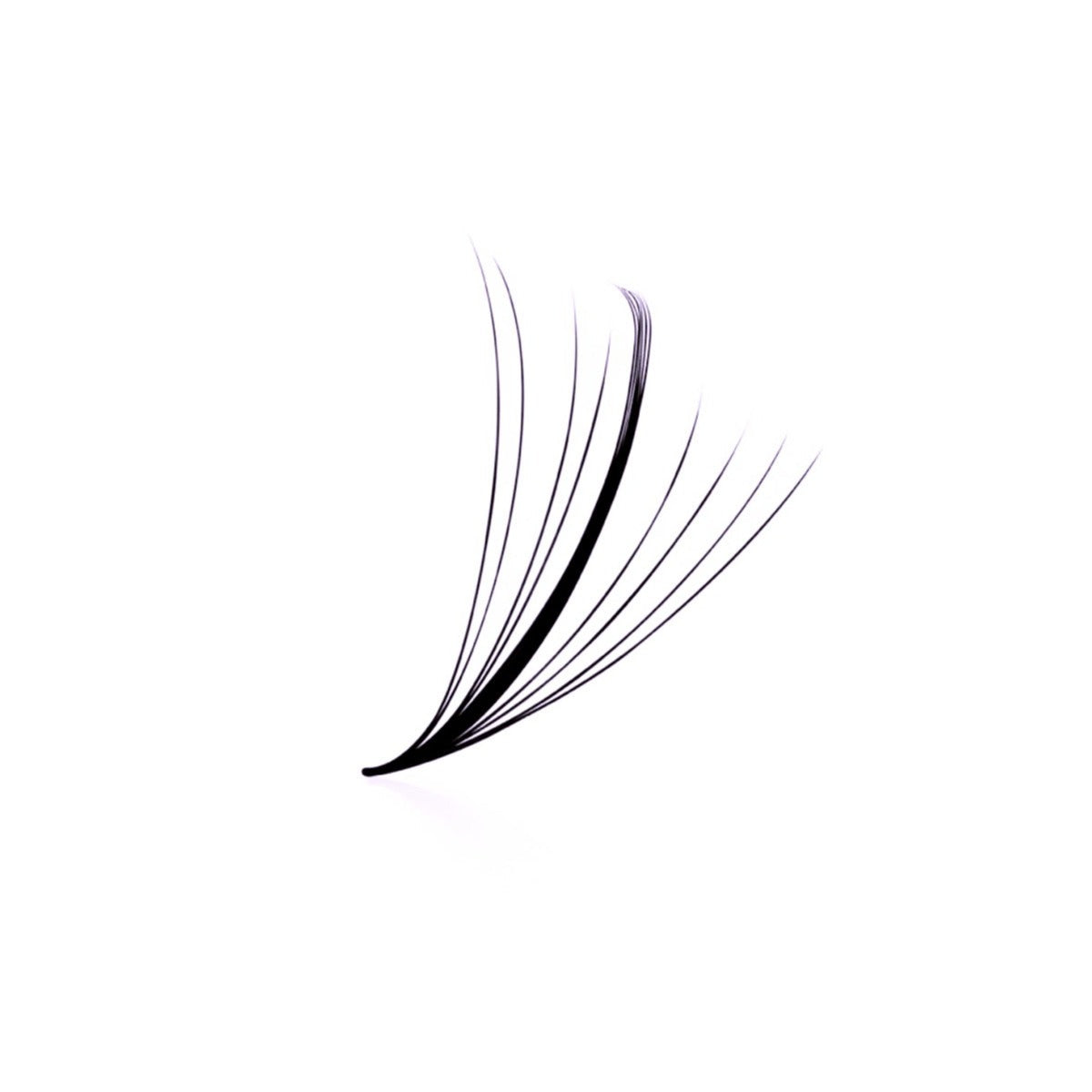 Wispy 9D Pro Made Loose Lash Fans